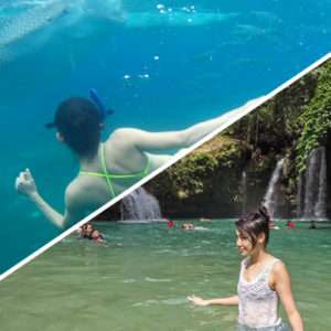 Whale Shark Watching + Kawasan Falls Day Tour pick-up and drop off Cebu City