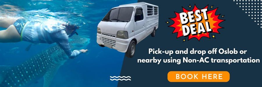 whale shark tour pick up and drop off Oslob non AC